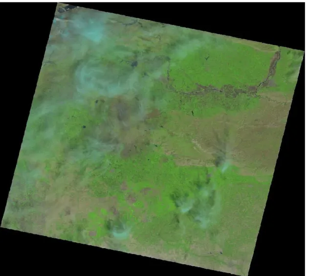 Şekil 3.11. Diyarbakır iline ait 07.04.2015 tarihli, Landsat-8 uydusuna ait uydu görüntüsü