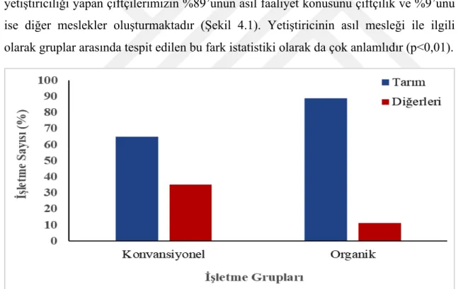 Şekil 4.1. Yetiştiricinin asıl mesleğinin gruplara göre dağılımı  4.1.6. Üreticilerin Örgütlenme Durumu 