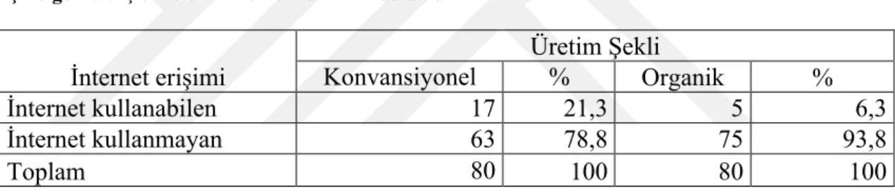 Çizelge 4.8. Çiftçilerin bilgisayar kullanma durumu 