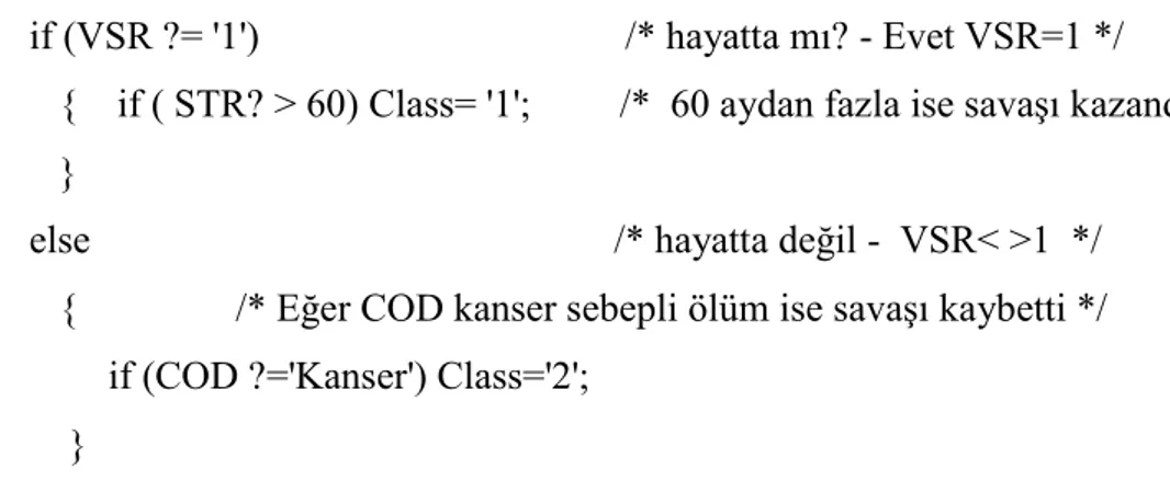 ġekil 4.2.1. Seer Veri kaynağının hazırlanması için ConvertSeerDataToArff  Programının çalıĢtırılması 