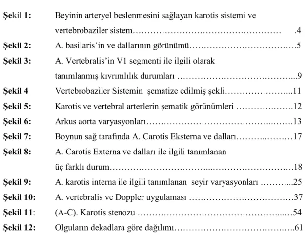 Şekil listesi 