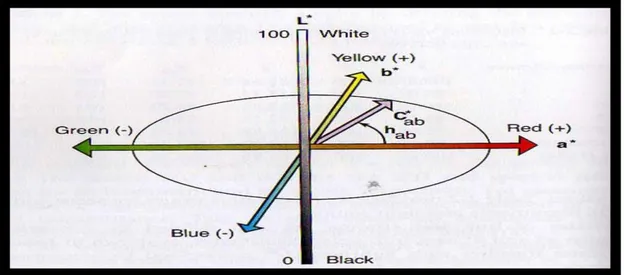 Şekil V: CIELAB renk sistemi.