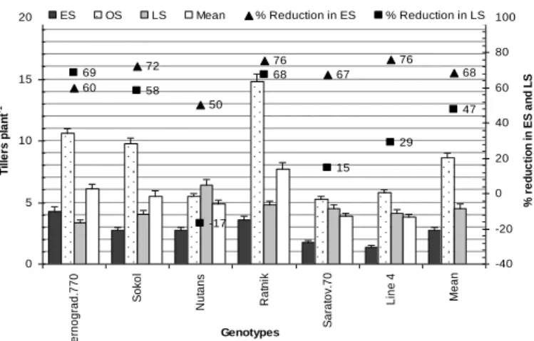 Figure 10. Tillers plant -1  of all wheat and barley genotypes is influenced by low-temperature  stress in early sowing and high temperature combine with drought in late sowing conditions 