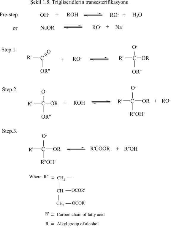 Şekil 1.5. Trigliseridlerin transesterifikasyonu  Pre-step C O C OR C OR C ORC OROH-+ROHRO-+H2OorNaORRO-+Na+Step.1.R'OR''R'O-OR''Step.2.Step.3