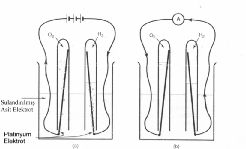 Şekil  2.1.a  ve  2.1.b’de  gösterilen  deneyler,  yakıt  pilinin  temel  prensibinin  uygun  bir  gösterimidir