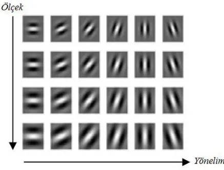 Şekil 3.4. Gabor dalgacık kümesi 