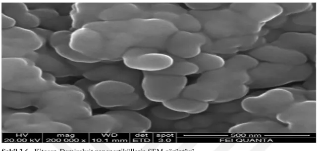 Şekil 3.6.  Kitosan-Demiroksit nanopartiküllerin SEM görüntüsü 