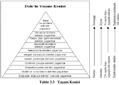 Tablo 3.3   Yaşam Konisi 