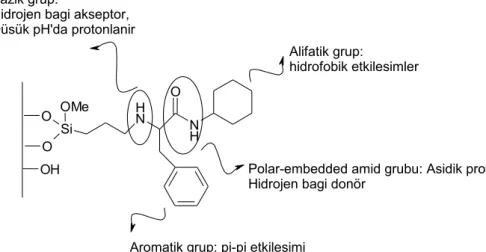 Şekil 3.2  SP1 dolgu maddesinin yapısı (Aral , 2013) 