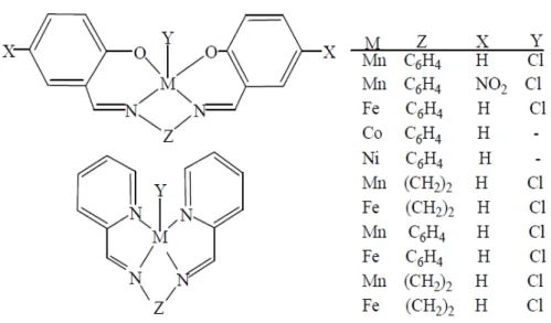 Şekil 2.6 Geçiş metali Schiff bazı kompleksleri 