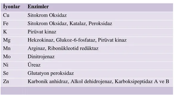 Çizelge 1.1. Enzimlerin kofaktörü olan bazı inorganik iyonlar (Yıldırımkaya 2003, 