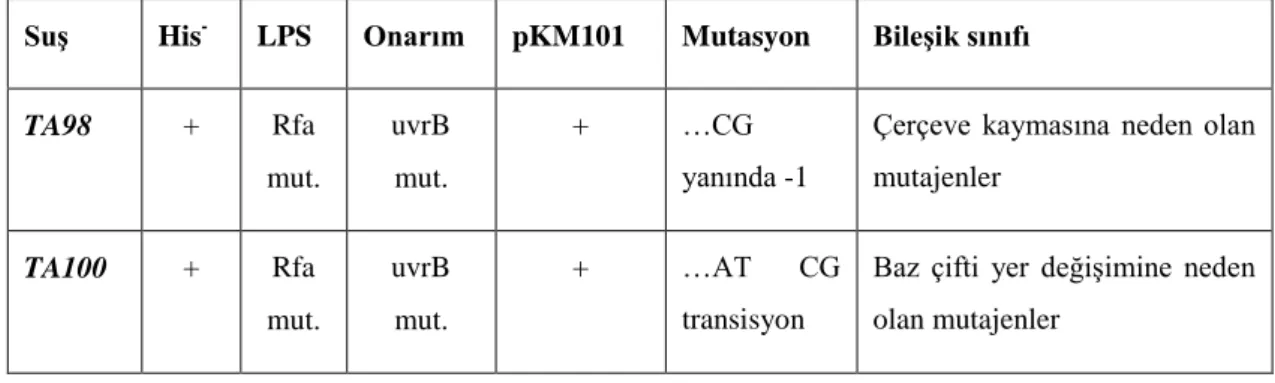 Çizelge  3.2.3.  Mutajenite  testinde  kullanılan  Salmonella  typhimurium  mutant  suşun  genetik 