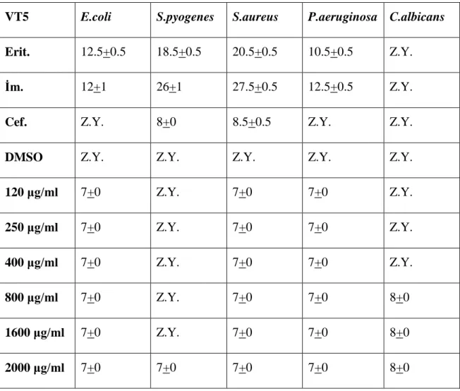 Çizelge 4.1.1.1. VT5 test bileşiğinin 24 saatlik inkübasyon sonrası antimikrobiyal aktivite değerleri 