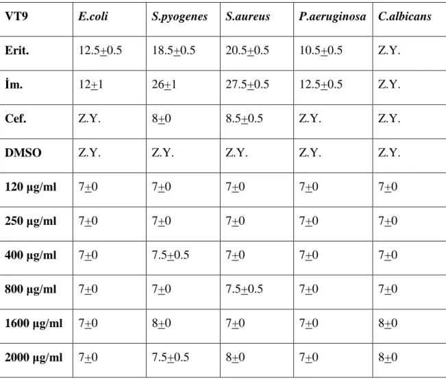 Çizelge 4.1.1.5. VT9 test bileşiğinin 24 saatlik inkübasyon sonrası antimikrobiyal aktivite değerleri 