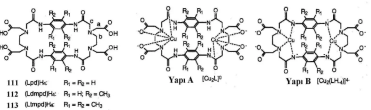 Şekil 16. Inoue ve grubunun çalıştığı şelatlayıcı parasiklofanlar ve binükleer Cu +2  şelatlarının  olası yapıları