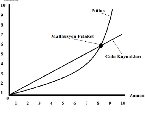 Şekil 2. Malthus’un Nüfus Artış Modeli 