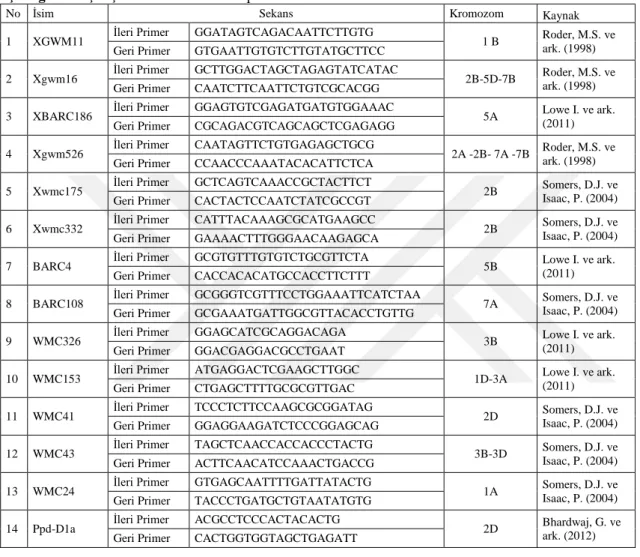 Çizelge 3. 2. ÇalıĢmada kullanılan SSR primerleri 