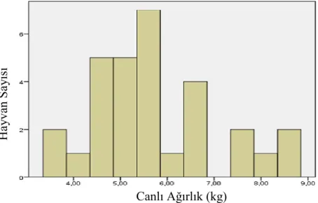 ġekil  4.3.  Halep  Keçisi  Erkek  Oğlaklarında  Doğum  Ağırlığı  ile  Hayvan Sayılarına ait Grafik (1