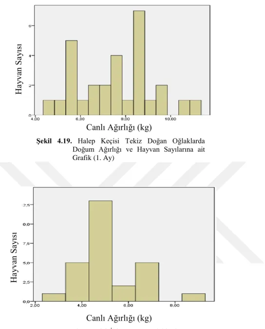 ġekil  4.20.  Halep  Keçisi  İkiz  Doğan  Oğlaklarda  Doğum  Ağırlığı  ve  Hayvan  Sayılarına  ait  Grafik  (1