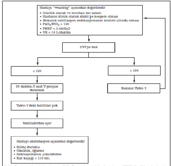 Şekil 4. Weaning algoritması