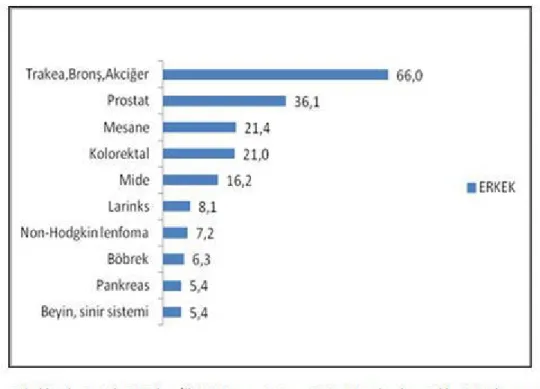 Şekil 1.  Türkiye’de tüm yaş gruplarındaki erkeklerde en sık görülen kanserlerin grup içi yüzde dağılımı (6)