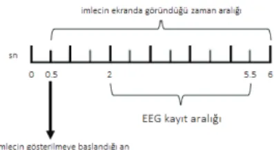 Şekil 2.EEG verileri için kayıt düzen eği 