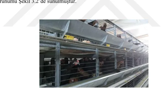 Şekil 3.2. Deneme odasından bir görünüm 