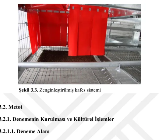 Şekil 3.3. Zenginleştirilmiş kafes sistemi