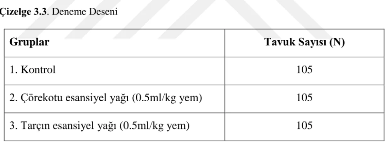 Çizelge 3.3. Deneme Deseni 