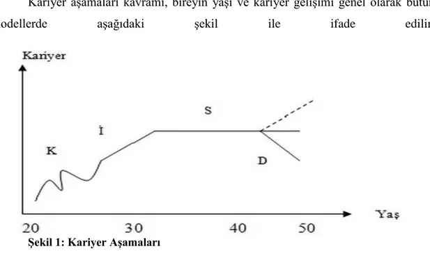 Şekil 1: Kariyer Aşamaları 