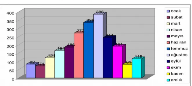 Grafik 2: Hastaların aylara göre dağılımı