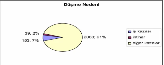 Grafik 4: Hastaların düşme yerlerine göre dağılımı