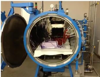 Figure 5. Representation of Autoclave Process (URL 3) 