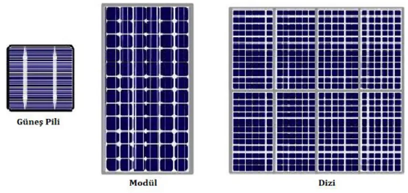 Şekil 1. Güneş Pili, Modül ve Dizi 