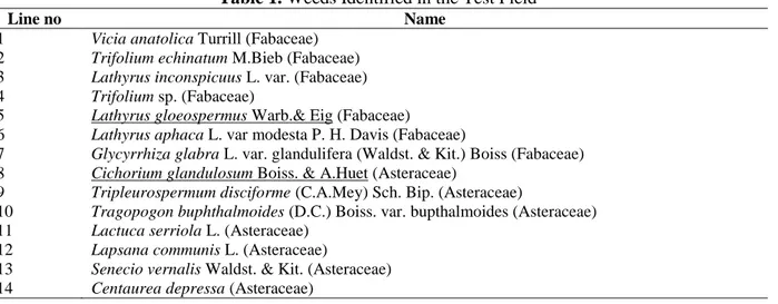 Table 1. Weeds Identified in the Test Field 