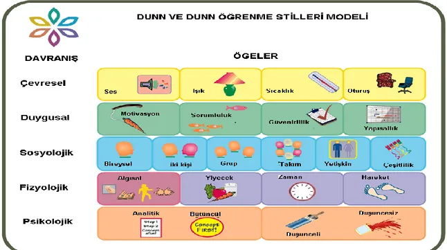 Şekil 1. Dunn ve Dunn öğrenme stilleri Modeli 