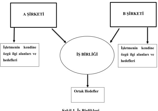 Şekil 1. İş Birlikleri 