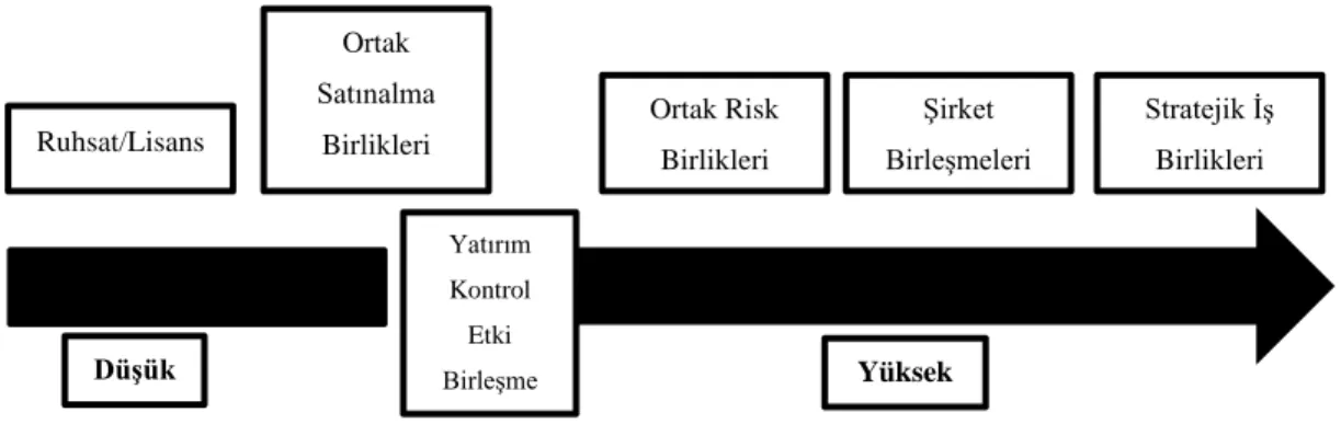 Şekil 7. İş Birliği Türleri 