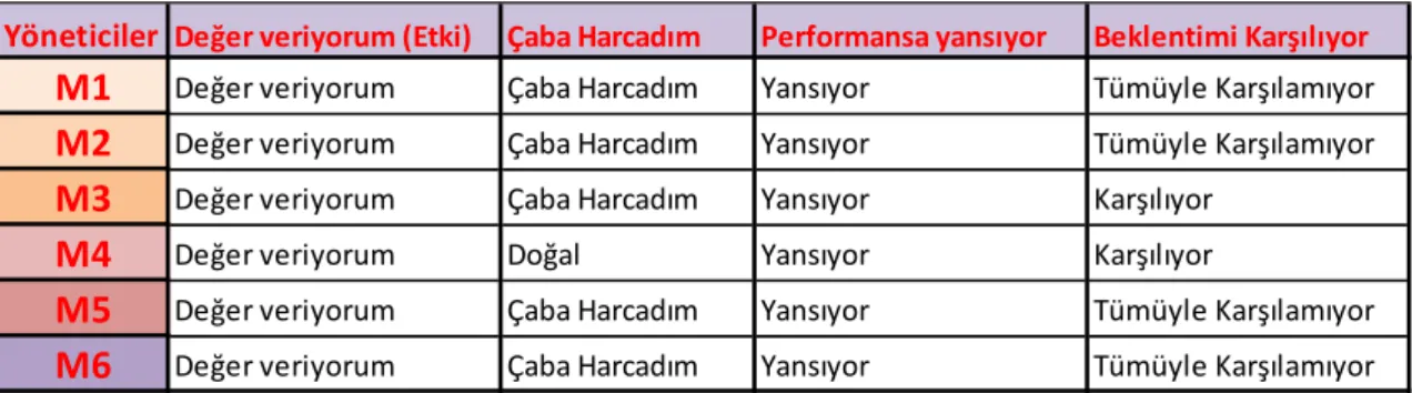 Tablo 15: Yöneticilerin cevapları 