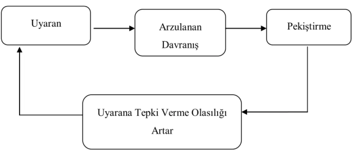 Şekil 3. Edimsel Koşullanma İle Öğrenme 