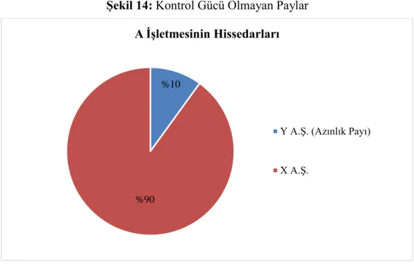 Şekil 14: Kontrol Gücü Olmayan Paylar 