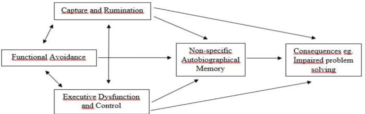 Figure 3. CaR-FA-X Model
