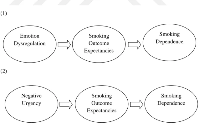 Figure 1. Hypothesized Models of the Study II