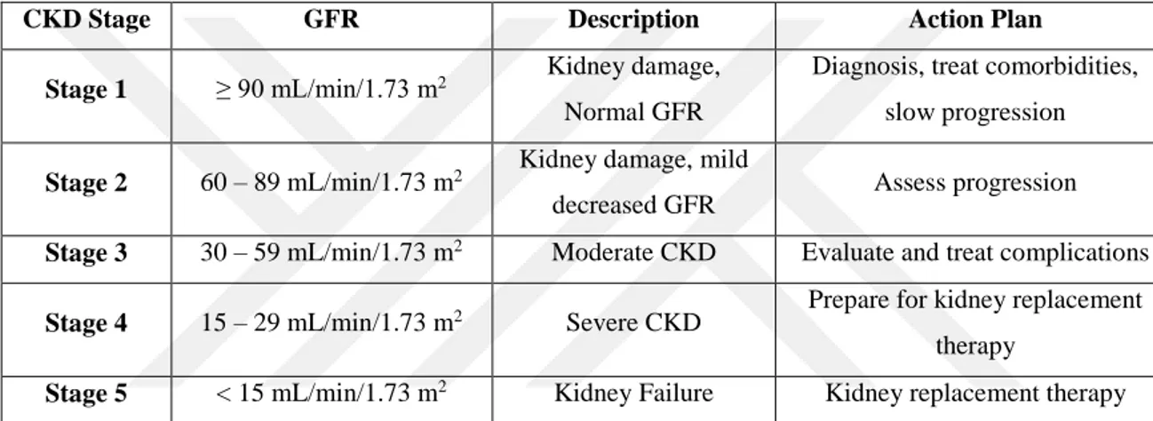 Table 3: Five stages of chronic kidney disease as defined by KDOQI guidelines a