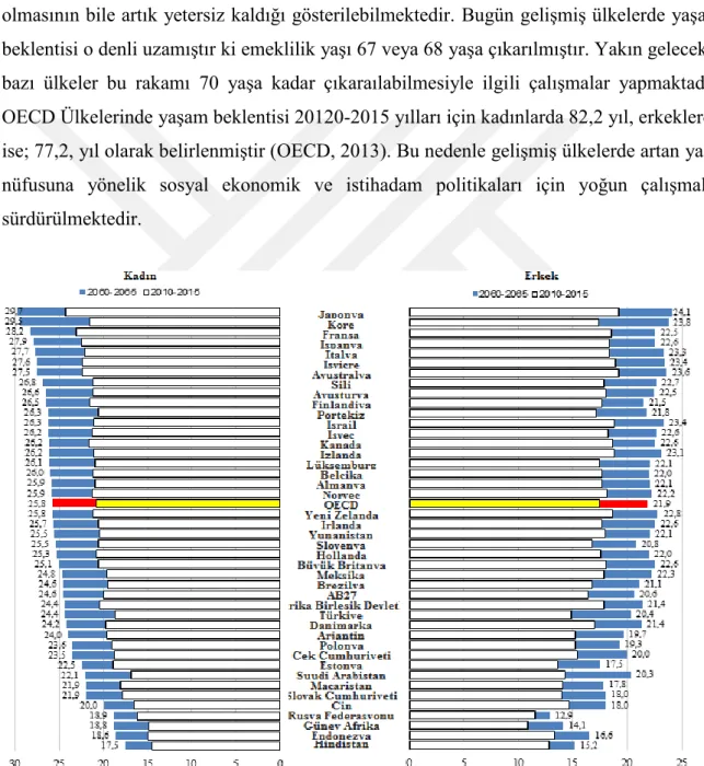 Şekil 7.  65 Yaş Kadın ve Erkek Yaşam Beklentisi 2010-15 ve 2060-65  