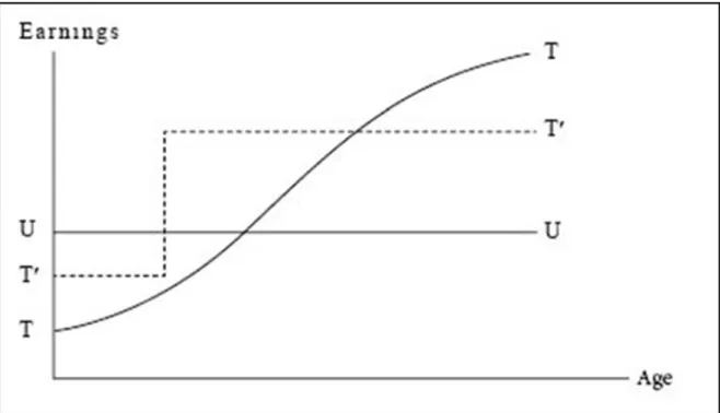Figure 3- Mechanism and the contribution of training over income 
