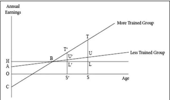 Figure 4- Relationship between annual earnings and age for differently trained groups 