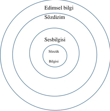 Şekil 1. Fatma Erkman Akerson’un Edimbilim çizelgesi (2016) 