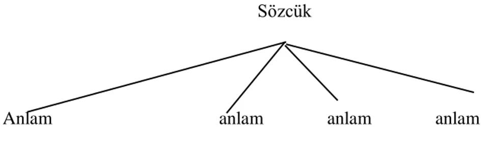 Şekil 5. Bir sözcüğün birden fazla anlama sahip olmasını gösteren çizelge 