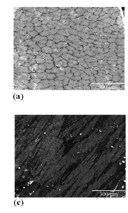 Şekil 12. Be-Ti SEM görüntüleri (a)Be-%5 Ti
